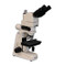 Meiji MT7100EH Metallurgical Microscope - Ergonomic Trinocular, Vertical Halogen Illumination Meiji MT7100EH Metallurgical Microscope - Ergonomic Trinocular, Vertical Halogen Illumination