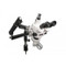 Meiji FAEMZ-5TR Trinocular GEM Engraving Zoom Stereo Microscope on Articulating Arm Stand with Ring Fluorescent Illuminator, 7x - 90x Magnification Meiji FAEMZ-5TR Trinocular GEM Engraving Zoom Stereo Microscope on Articulating Arm Stand with Ring Fluorescent Illuminator, 7x - 90x Magnification