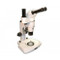 Meiji CZ-1105TR Trinocular Zoom Stereo Microscope, 8x to 80x Magnification Meiji CZ-1105TR Trinocular Zoom Stereo Microscope, 8x to 80x Magnification