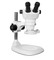 Scienscope NZ-PK1-E1, NZ Stereo Zoom Binocular Microscope on ErgoPost Stand with LED Ring Light, 8x to 50x Magnification Scienscope NZ-PK1-E1, NZ Stereo Zoom Binocular Microscope on ErgoPost Stand with LED Ring Light, 8x to 50x Magnification