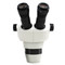Scienscope NZ-BD-B2 NZ Stereo Zoom Binocular Head