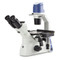 Euromex EOX-2053-PLPH Inverted Oxion Inverso Phase Contrast Microscope, Plan Phase IOS Objectives, Trinocular, Mechanical Stage Euromex EOX-2053-PLPH Inverted Oxion Inverso Phase Contrast Microscope, Plan Phase IOS Objectives, Trinocular, Mechanical Stage