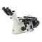 Euromex Oxion Inverso Inverted Microscope for Material Science Euromex Oxion Inverso Inverted Microscope for Material Science