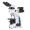 Euromex IS.1052-PLPOLRi, iScope Binocular Polarizing Microscope Euromex IS.1052-PLPOLRi, iScope Binocular Polarizing Microscope
