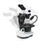 Euromex NZ.1902-GEML, NexiusZoom Binocular Gemology Microscope Euromex NZ.1902-GEML, NexiusZoom Binocular Gemology Microscope