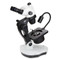 Euromex NZ.1703-GEML, NexiusZoom EVO Trinocular Gemology Microscope Euromex NZ.1703-GEML, NexiusZoom EVO Trinocular Gemology Microscope