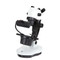 Euromex NZ.1703-GEMF, NexiusZoom EVO Trinocular Gemology Microscope Euromex NZ.1703-GEMF, NexiusZoom EVO Trinocular Gemology Microscope