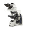 Euromex DX.1158-PLi, Delphi-X Observer Clinical Microscope