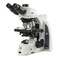 Euromex DX.1153-APLi, Delphi-X Observer Clinical Microscope Euromex DX.1153-APLi, Delphi-X Observer Clinical Microscope