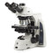 Euromex DX.1153-PLPHi, Delphi-X Observer Phase Contrast Microscope Euromex DX.1153-PLPHi, Delphi-X Observer Phase Contrast Microscope
