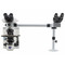 OPTIKA B-1000Ti-2 Two Head Research Microscope, Side-by-Side OPTIKA B-1000Ti-2 Two Head Research Microscope, Side-by-Side