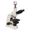 Meiji MT4310 Trinocular Phase Contrast Digital Microscope Package Meiji MT4310 Trinocular Phase Contrast Digital Microscope Package