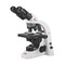 Motic BA210 Elite Microscope Series, Infinity Optical System, Rackless Stage Motic BA210 Elite Microscope Series, Infinity Optical System, Rackless Stage