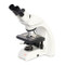 Leica DM750 Phase Microscope Leica DM750 Phase Microscope