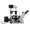 OPTIKA IM-5FLD Microscope, Side OPTIKA IM-5FLD Microscope, Side