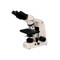 Meiji MT4000D Motorized Mohs Dermatology Microscope Meiji MT4000D Motorized Mohs Dermatology Microscope