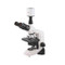 Labomed Lx300 HD Digital Microscope Package Labomed Lx300 HD Digital Microscope Package