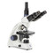 Euromex MicroBlue LED Microscope, Mechanical Stage, Rechargeable Euromex MicroBlue LED Microscope, Mechanical Stage, Rechargeable