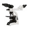 ACCU-SCOPE 3012 Dual View Teaching Microscope