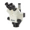 Euromex Z Series Stereo Zoom Microscope on Illuminated Pillar Stand Euromex Z Series Stereo Zoom Microscope on Illuminated Pillar Stand