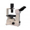Meiji TC-5300EL Ergonomic Binocular Phase Inverted Microscope with LED Illumination