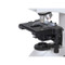 Labomed 9144610 Mechanical Stage for Lx 500 Series Labomed 9144610 Mechanical Stage for Lx 500 Series