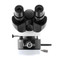 LW Scientific i4P-EPiL-485N Lumin Epi-Fluorescence Module for i4 Microscope LW Scientific i4P-EPiL-485N Lumin Epi-Fluorescence Module for i4 Microscope