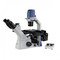 ACCU-SCOPE EXI-310-FL Trinocular Inverted Microscope with LED Fluorescence Illuminator ACCU-SCOPE EXI-310-FL Trinocular Inverted Microscope with LED Fluorescence Illuminator