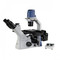 ACCU-SCOPE EXI-310-FL Trinocular Phase Inverted Microscope with LED Fluorescence Illuminator ACCU-SCOPE EXI-310-FL Trinocular Phase Inverted Microscope with LED Fluorescence Illuminator