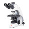 Motic Panthera C2 Trinocular Simple Phase Package Motic Panthera C2 Trinocular Simple Phase Package