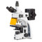Euromex EIS-3153-PLFi-3 iScope HBO Fluorescence Microscope, Plan Fluarex IOS Objectives, Trinocular, 3-Position Slider Euromex EIS-3153-PLFi-3 iScope HBO Fluorescence Microscope, Plan Fluarex IOS Objectives, Trinocular, 3-Position Slider