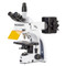 Euromex IS.3153-EPLi/6, iScope HBO Fluorescence Microscope, E-Plan IOS Objectives, Trinocular, 6-Position Slider Euromex IS.3153-EPLi/6, iScope HBO Fluorescence Microscope, E-Plan IOS Objectives, Trinocular, 6-Position Slider