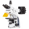Euromex IS.3153-PLFi/6, iScope HBO Fluorescence Microscope, Plan Fluarex IOS Objectives, Trinocular, 6-Position Slider