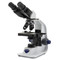OPTIKA B-157R-PL Binocular Brightfield Microscope, 600x, Plan Objectives, Rechargeable