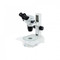 UNITRON 13510 Z645 Binocular Stereo Zoom Microscope on LED Diascopic Stand, 6.7x - 45x Magnification UNITRON 13510 Z645 Binocular Stereo Zoom Microscope on LED Diascopic Stand, 6.7x - 45x Magnification