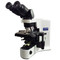 Olympus BX41 Clinical Microscope 4x, 10x, 40x, 100x Objectives - Refurbished Olympus BX41 Clinical Microscope 4x, 10x, 40x, 100x Objectives - Refurbished