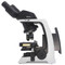 Nikon Eclipse Si Trinocular Microscope