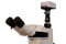 1.4mp color digital video camera, 1/2" CCD, USB 2.0
