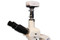 3.3mp color digital video camera, 1/1.8" CCD, USB 2.0