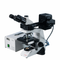 Labomed Lx500 Fluorescence microscope