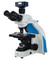 Trinocular microscope with Excelis 4K Camera