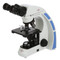 ACCU-SCOPE 3000-LED Biological Microscope ACCU-SCOPE 3000-LED Biological Microscope