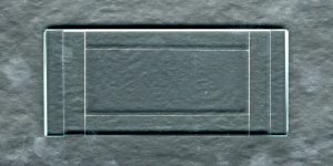3800 Sedgewith-Rafter Chamber with 1 cover glass