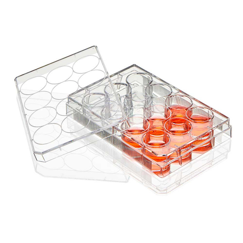 Diamond SureGro Multiple Well Plate, 24 Well, Flat Bottom, Tissue Culture Treated, Sterile, Individually Wrapped