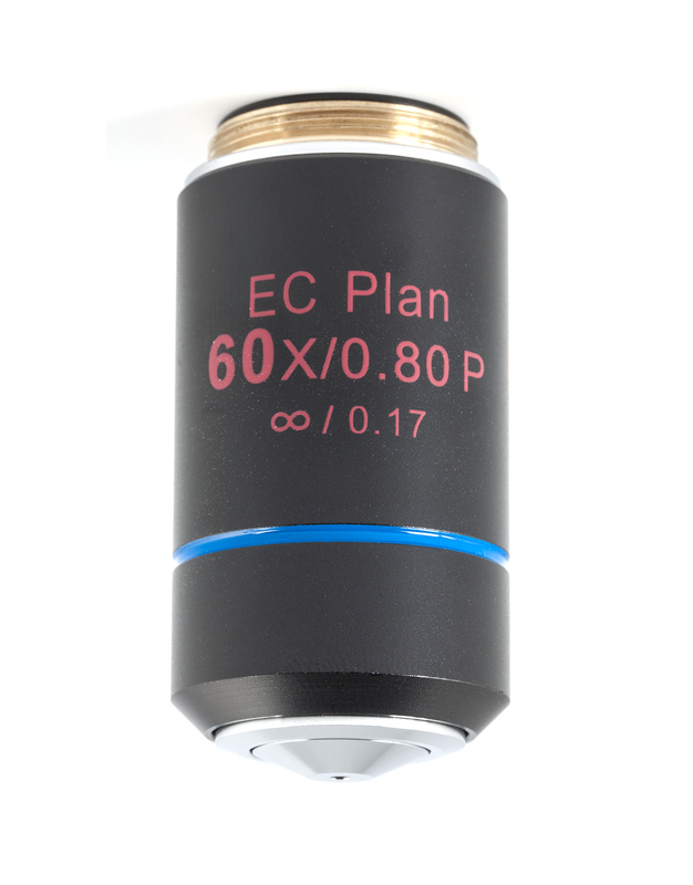 Motic BA310POL Objective - CCIS EC Plan 60X