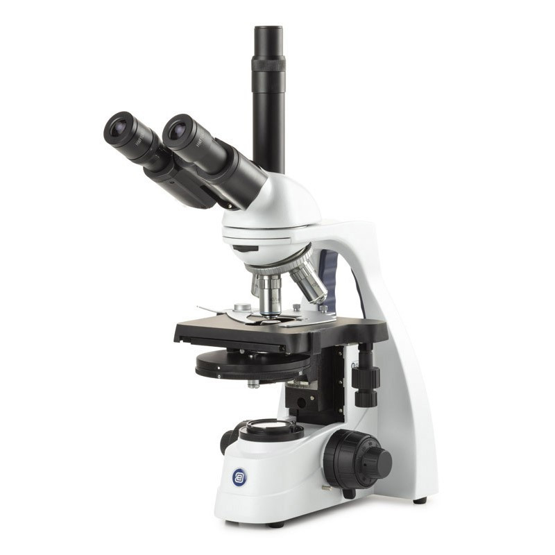 Euromex BS.1153-EPLPH, bScope Phase Contrast Microscope - E-Plan Phase Objectives - Trinocular