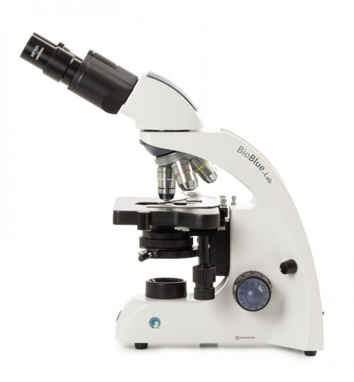 Euromex BB.1152-PLi BioBlue.Lab binocular microscope with plan PL 4/10/S40/S100x oil IOS objectives, mechanical rackless stage and 3 W NeoLED™ illumination