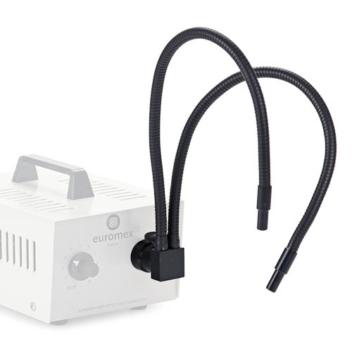 Euromex LE.5219 Dual arm light conductor, Gooseneck self-sustaining, 70 cm long , 4 mm diameter
