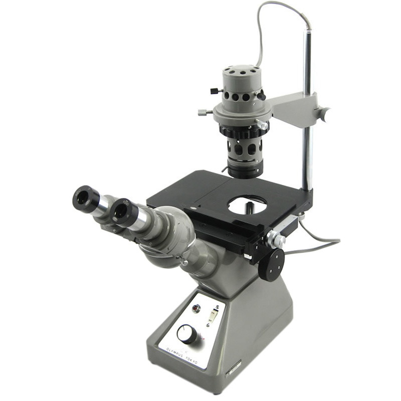 Olympus CK Microscope With Mechanical Stage