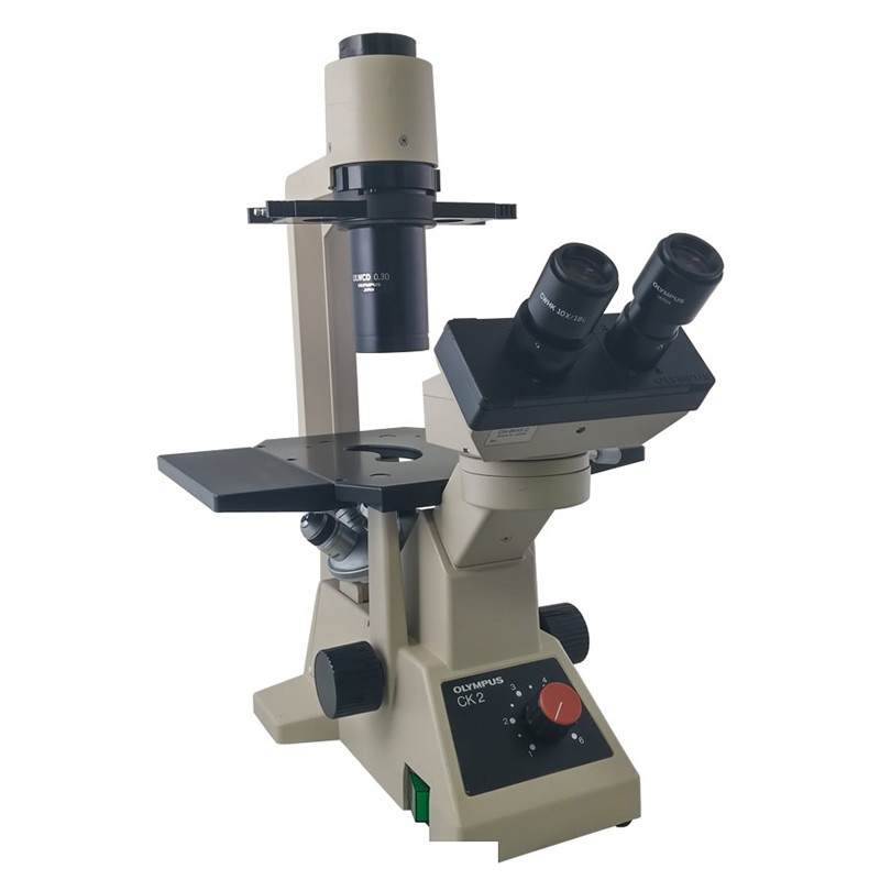 Olympus CK2 Inverted Binocular Phase Tissue Culture Microscope